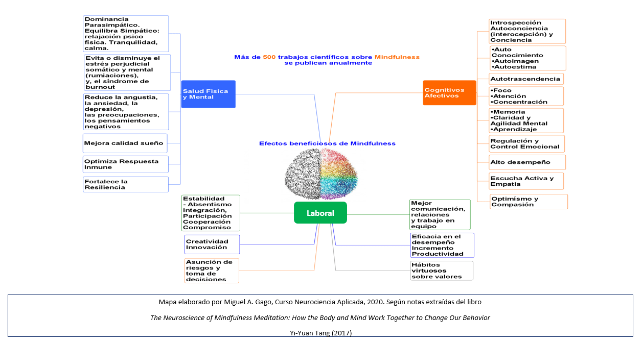 Efectos Mindfulness