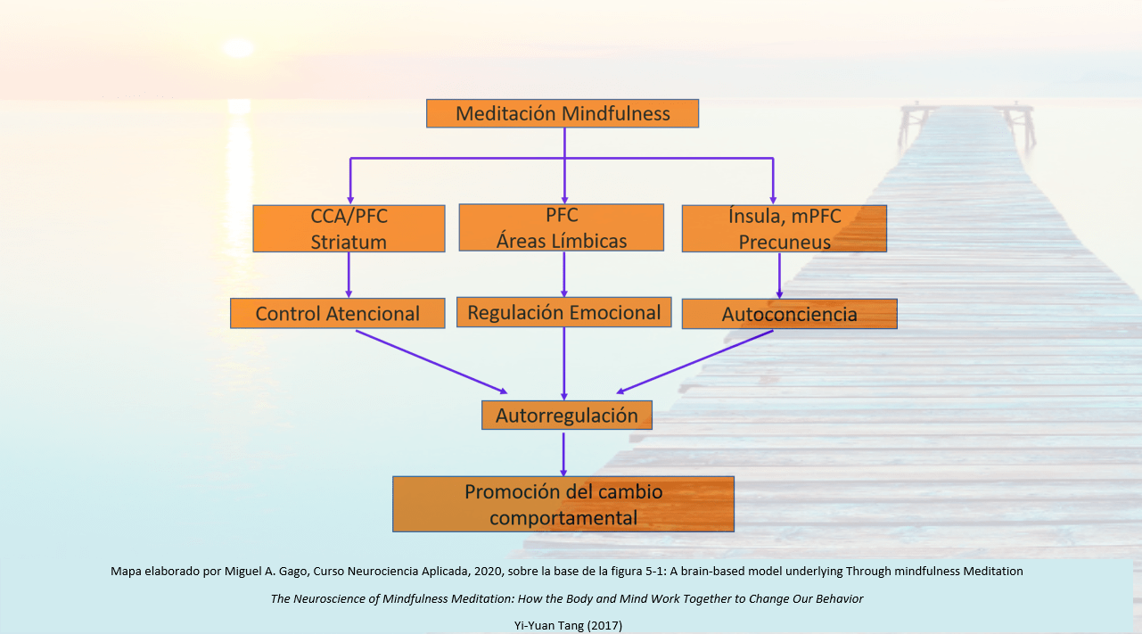 Meditacion Mindfulness