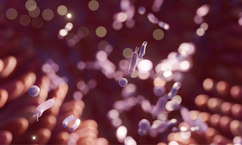 microbiota-influye-piel