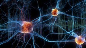 imagen-destacada-webinar-neurobiologia-terapidas-de-sonisdo