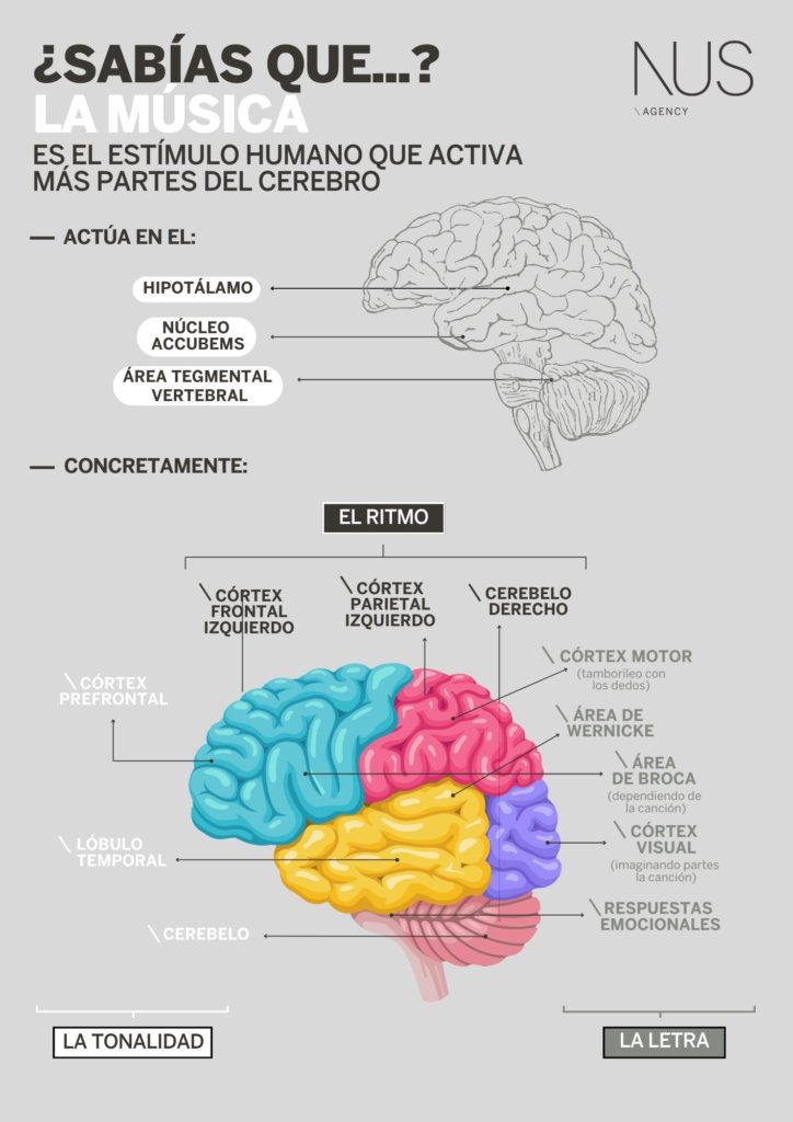 infografia-musica-cerebro