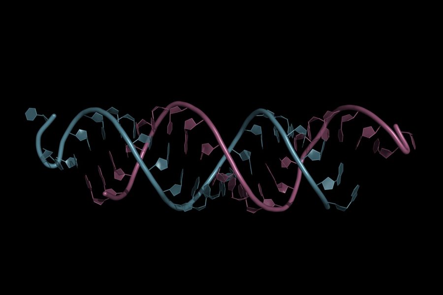 epigenetica y cerebro