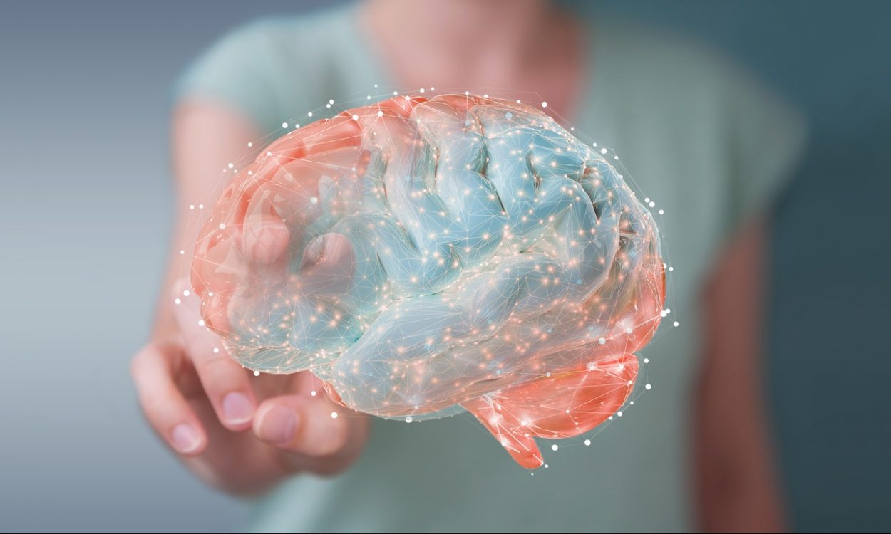 epigenetica y cerebro epigenetica y cerebro