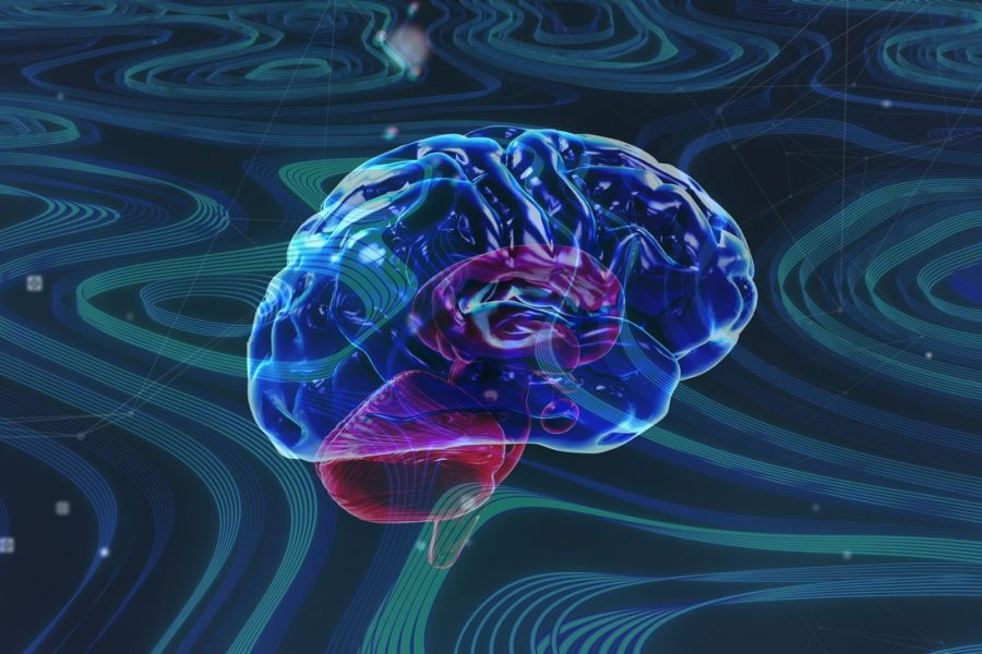 epigenetica y cerebro epigenetica y cerebro