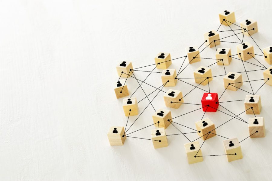 neuroliderazgo gerencial neuroliderazgo gerencial